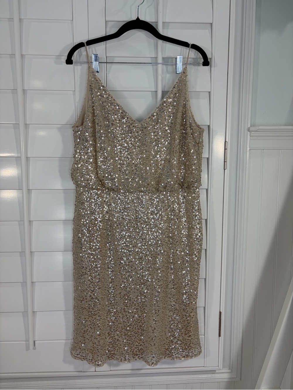 Adrianna Papell Champagne Sequin Blouson Dress (12)